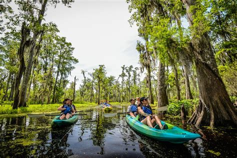 Unearth the Supernatural Secrets of Manxhac: Join a Kayak Swamp Tour